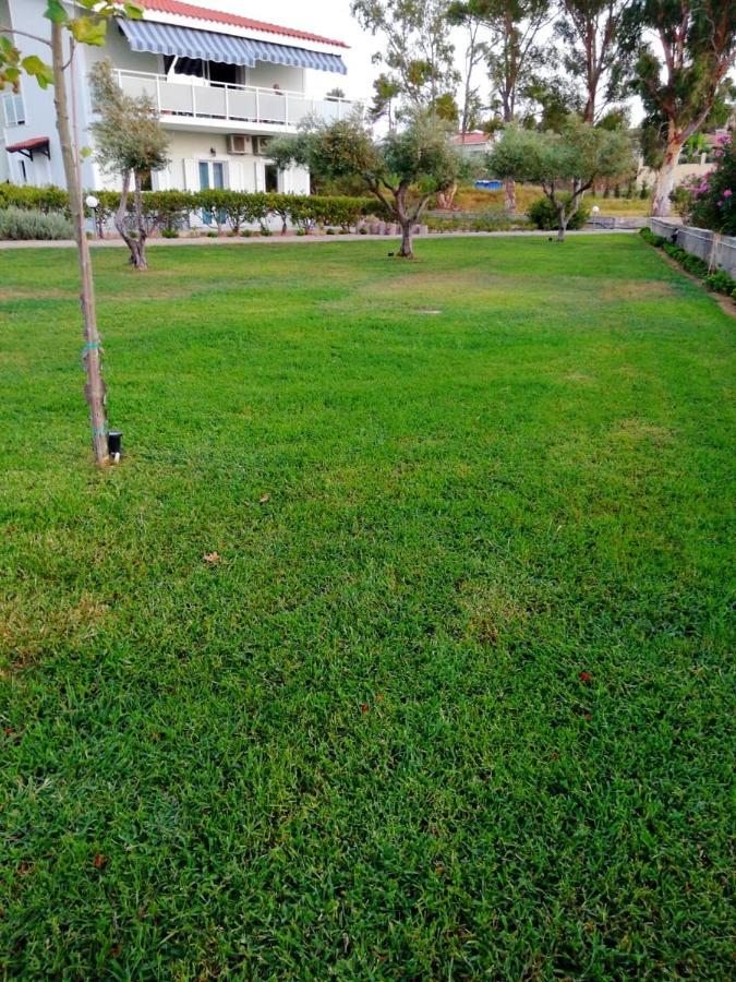 Aloni Studios And Apartments Lassi  Dış mekan fotoğraf