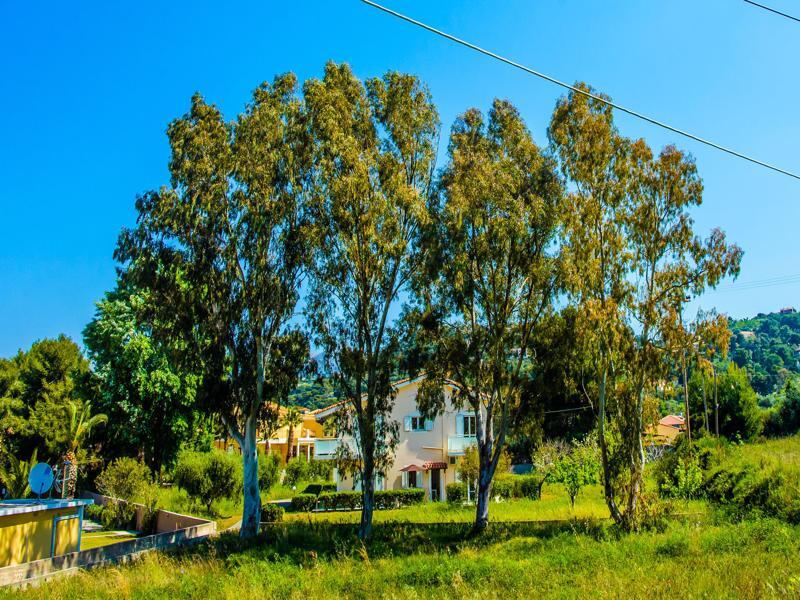 Aloni Studios And Apartments Lassi  Dış mekan fotoğraf